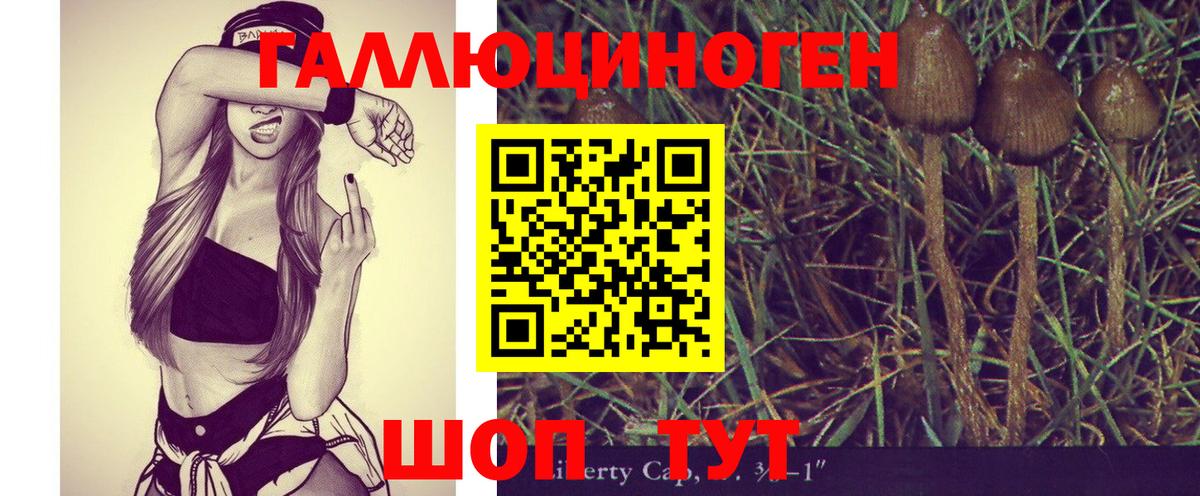 Псилоцибиновые грибы ЛСД Кызыл