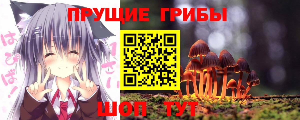 Кызыл  Псилоцибиновые грибы мицелий  Вход с VPN 